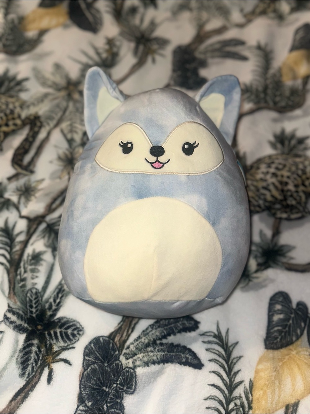 Squishmallows Blue & Cream Fal-dette Fox Plush